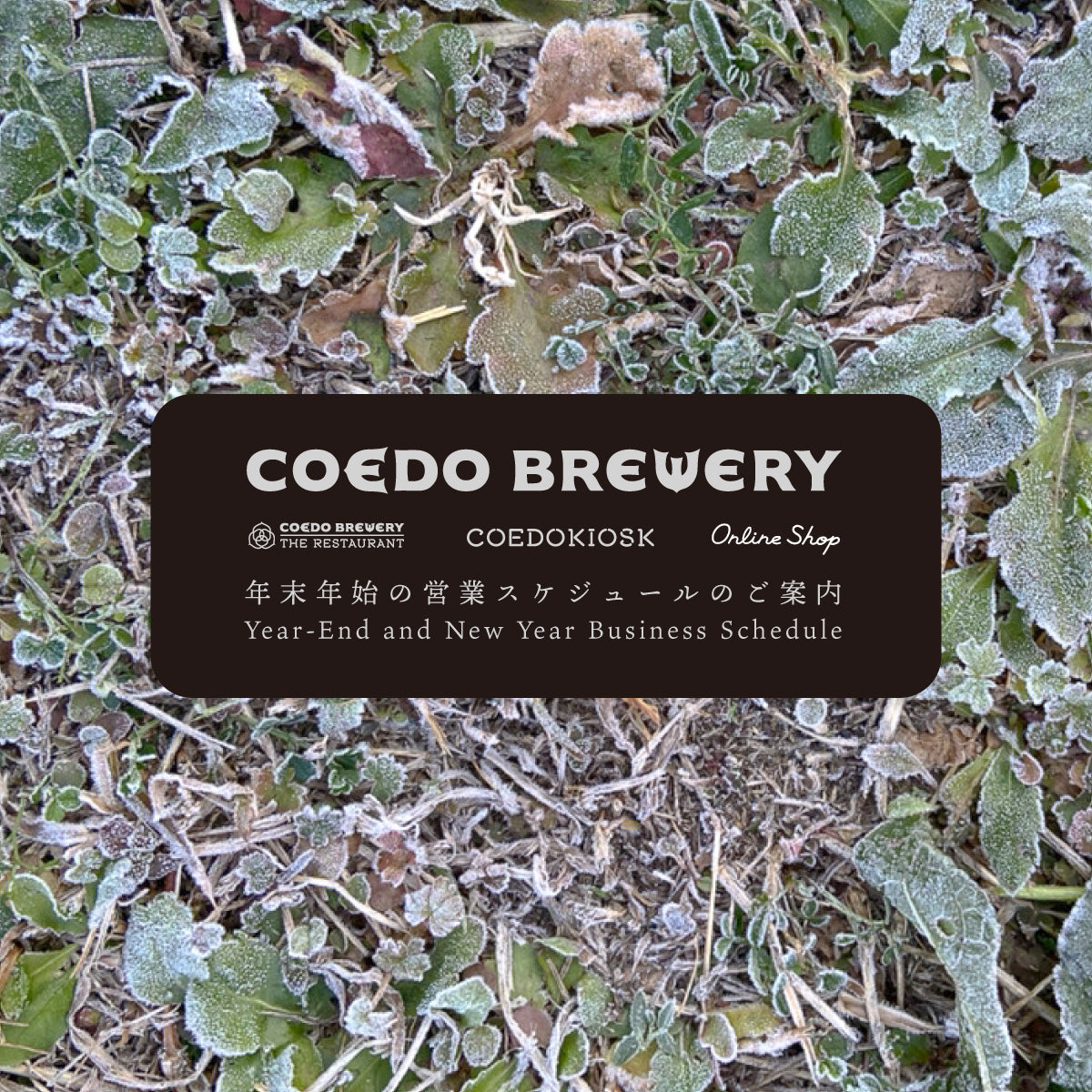 coedo様追加分 coedo様追加分 楽天市場】＼エントリーでポイント11倍／【 送料無料