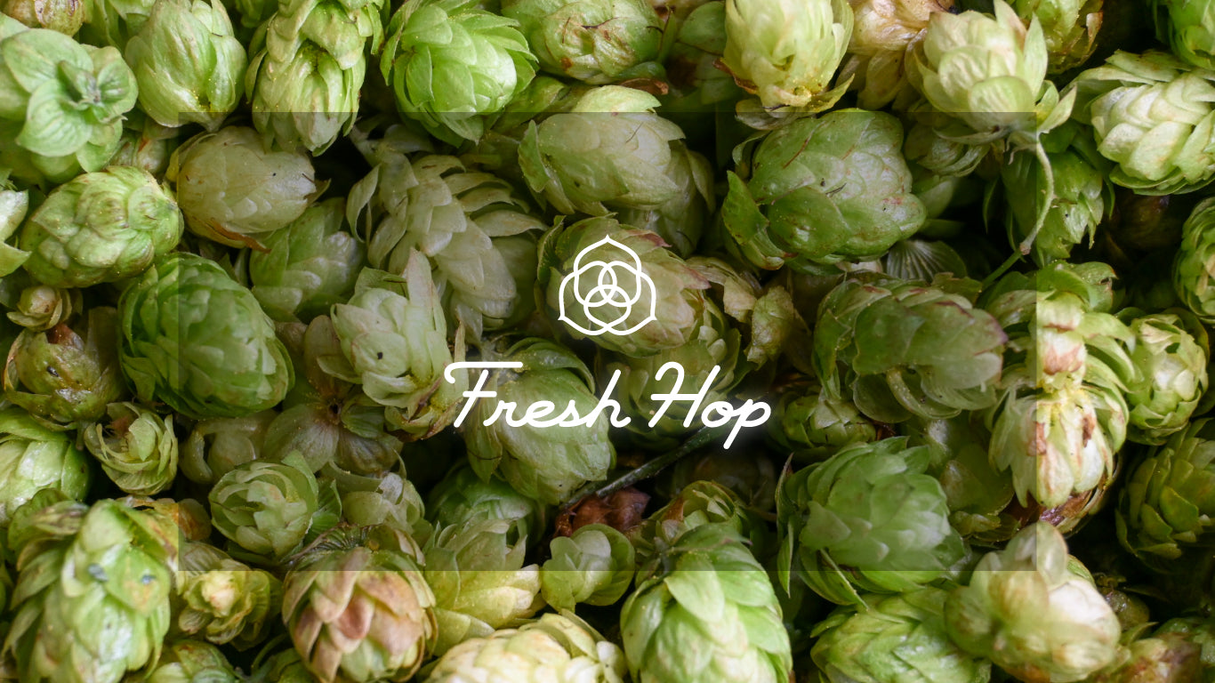 Fresh Hop Project