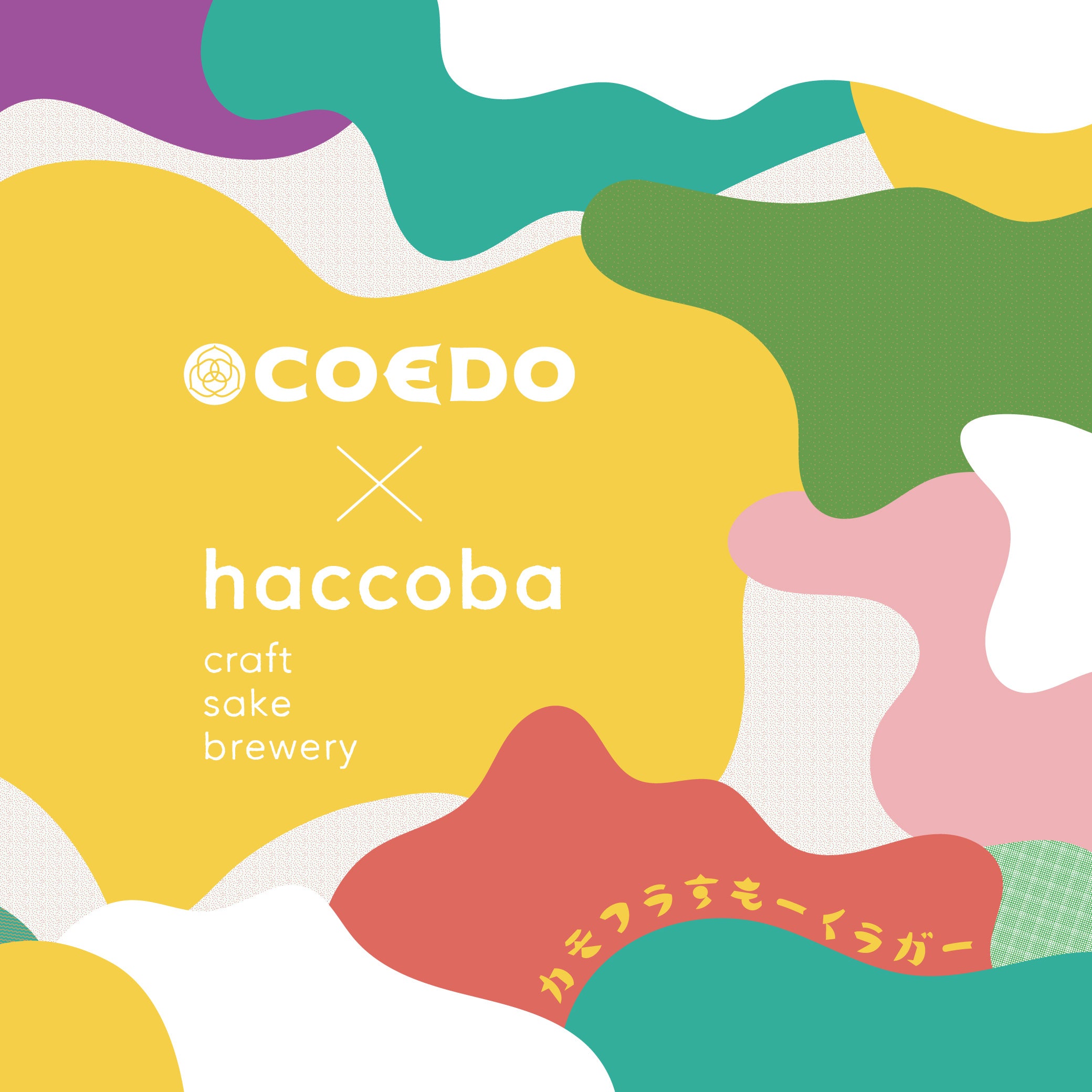 haccoba×COEDO 「カモフラすもーくラガー」【クール便】 – COEDO